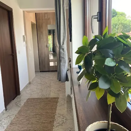 Natura Center Apartment *